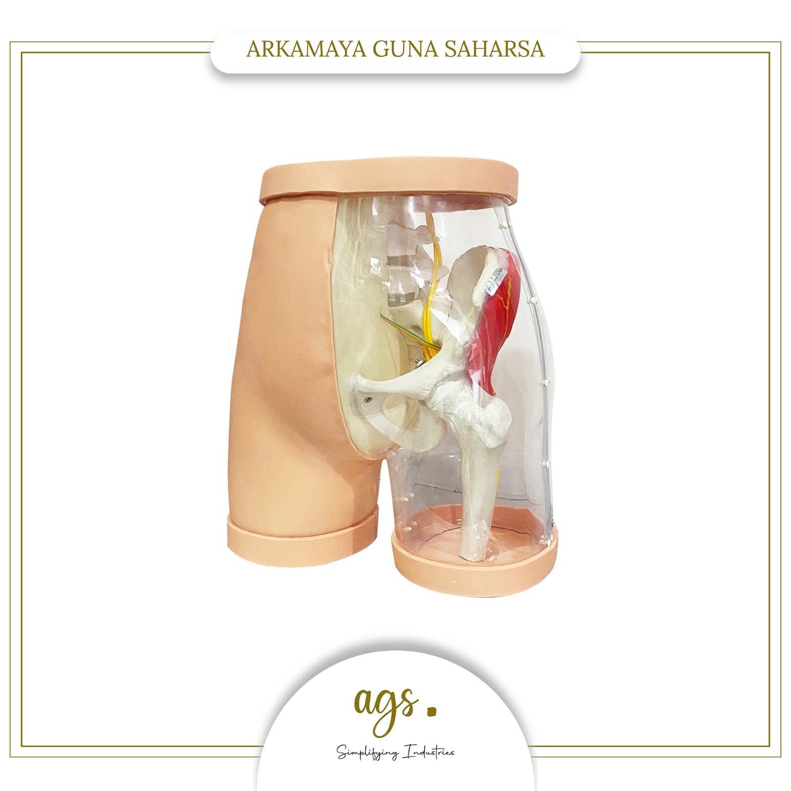 Microme Manekin Pelatihan Injeksi Gluteal Area Bokong Transparan