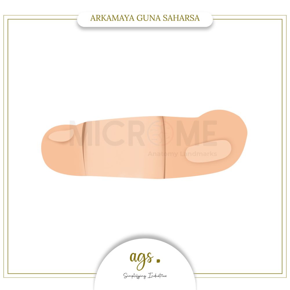Microme Manekin Praktik Kontrasepsi Subkutan